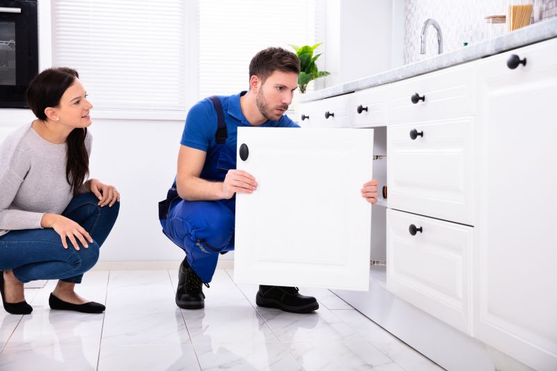 Kitchen Cabinet Repair