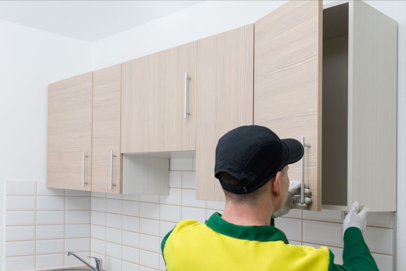 Kitchen Cabinet Replacement